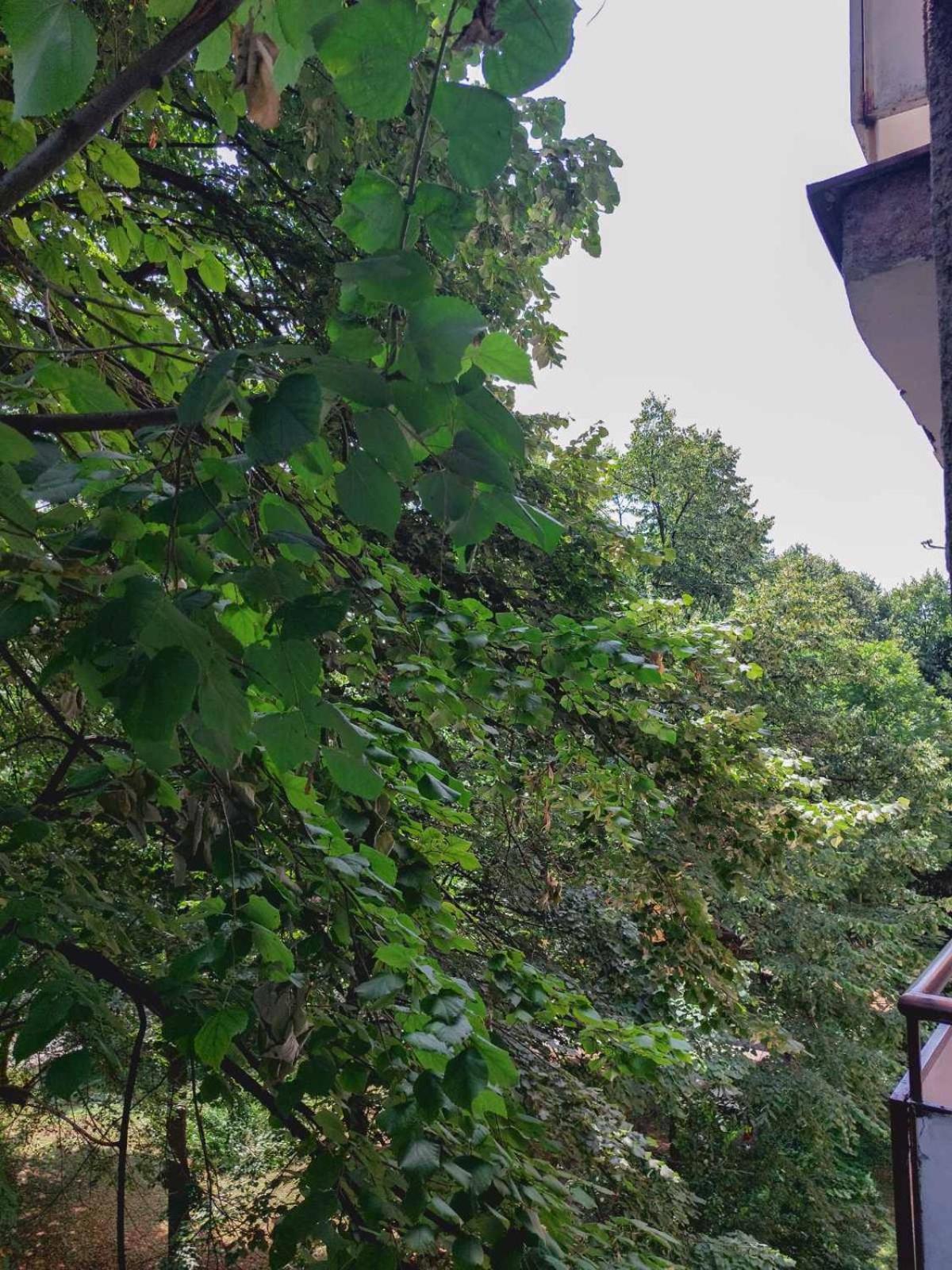 Apartman Rejna SJJ Exteriör bild