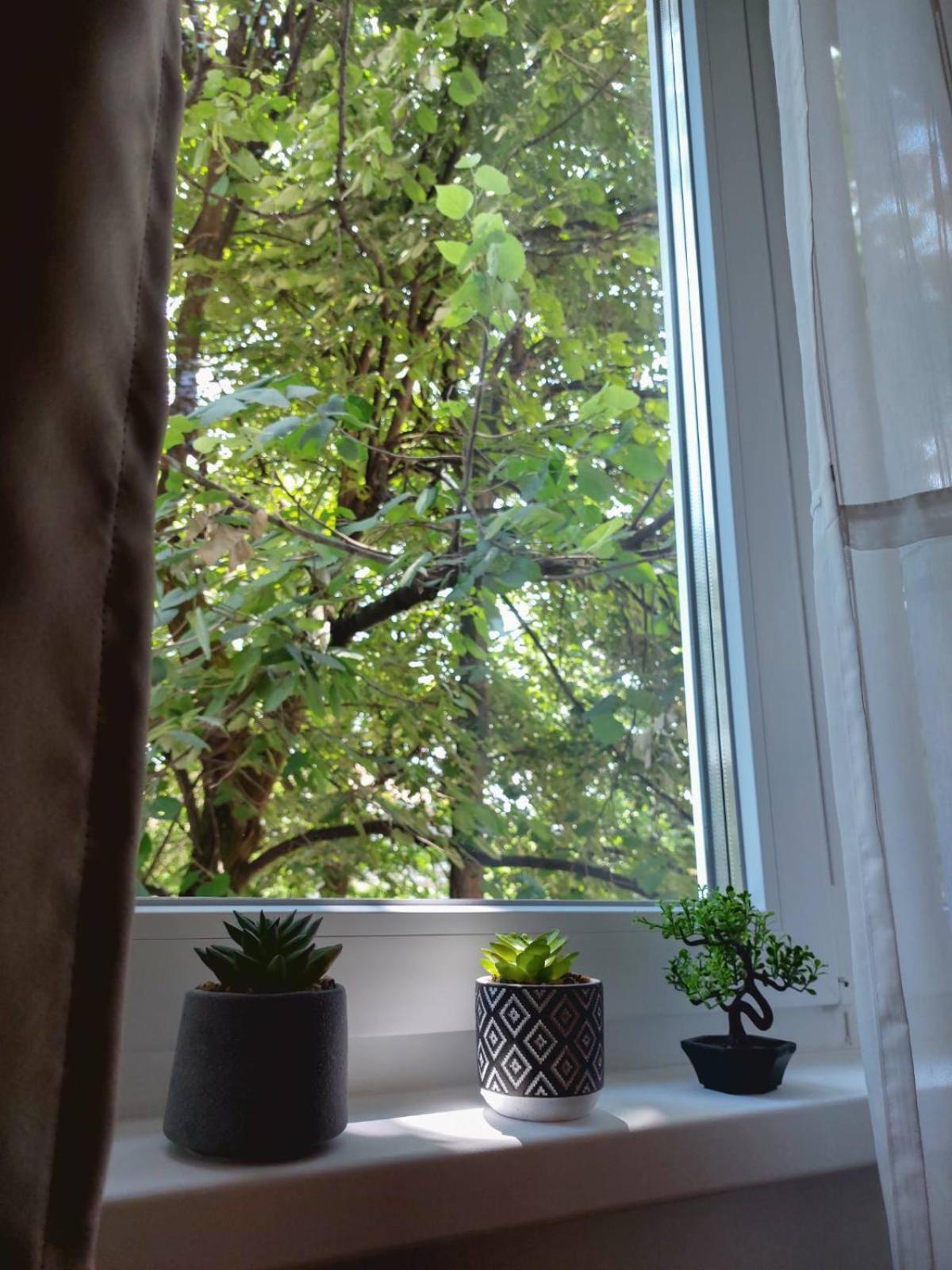 Apartman Rejna SJJ Exteriör bild